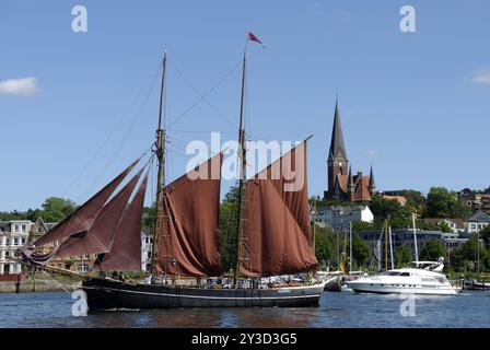 Fiducia alla Rum Regatta, Flensburg, Schleswig-Holstein, Germania, Europa Foto Stock