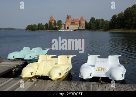 Delfini di fronte al castello dell'isola di Trakai, Trakai, Lituania, Europa Foto Stock