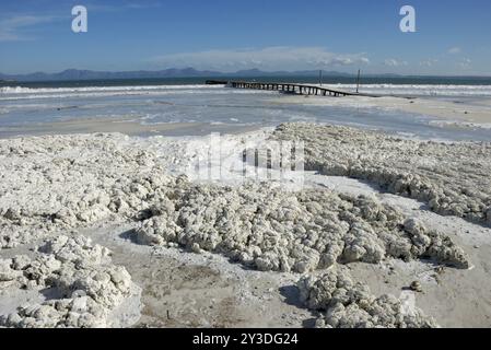 Schiuma bianca sulla spiaggia di Alcudia, Maiorca, Spagna, Europa Foto Stock