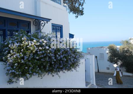 Una donna musulmana fuori da una casa addobbata di fiori nel grazioso villaggio balneare tunisino Sidi Bou Said Foto Stock