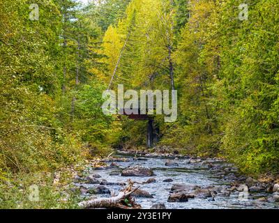 Una vista del fiume Snoqualmie da un drone a North Bend, Washington. Foto Stock