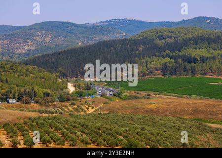 Un bellissimo paesaggio delle colline di Gerusalemme con l'autostrada 1 visibile, circondato da foreste e campi in Israele. Foto Stock