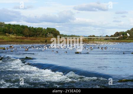 Il fiume Ogmore, Ogmore on Sea, Galles del Sud, scorre attraverso dune di sabbia vicino al suo estuario. Un luogo dove gli uccelli si sistemano e si nutrono. Fine estate. Cascata Foto Stock