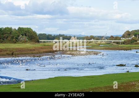 Il fiume Ogmore, Ogmore on Sea, Galles del Sud, scorre attraverso dune di sabbia vicino al suo estuario. Un luogo dove gli uccelli si sistemano e si nutrono. Fine estate. Foto Stock