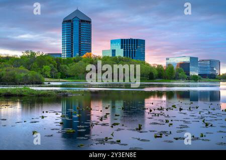 Bloomington, Minnesota, Stati Uniti, paesaggio urbano sul lago Normandale all'alba. Foto Stock