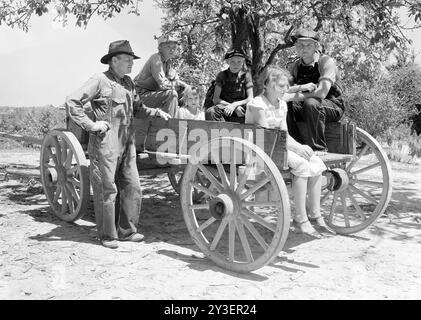 FAMIGLIA AMERICANA nella contea di Lee, Mississippi, nell'agosto 1935 Foto Stock