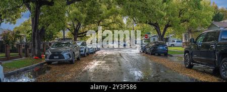 LOS ANGELES - 24 marzo 2024: Fiancheggiata da auto su entrambi i lati, una strada bagnata è fiancheggiata da splendidi alberi con fresche foglie verdi primaverili che brillano di sole Foto Stock