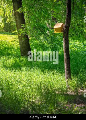 Una casetta per uccelli in legno è montata su un albero in un lussureggiante parco verde, bagnata dalla luce del sole. Circondata da un'abbondante vegetazione, la scena trasmette un senso di tranqu Foto Stock