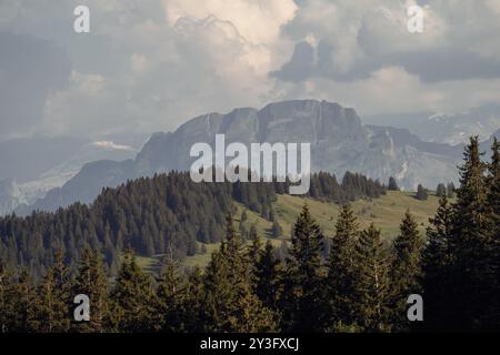 Un pittoresco paesaggio alpino con fitte foreste di pini e ripide vette montane sotto un cielo spettacolare negli altopiani svizzeri. Foto Stock