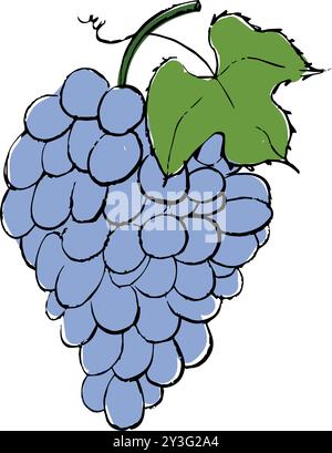 illustrazione disegnata a mano dell'uva, disegno vettoriale dell'uva Illustrazione Vettoriale