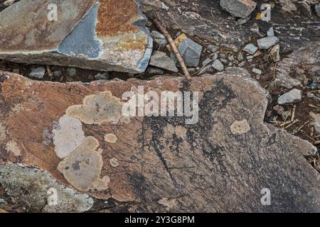 Antichi dipinti rupestri, incisioni rupestri, tombe paleolitiche di cavalieri fossili incastonate in pietra fratturata, regione di montagna Altai, Siberia, Russia Foto Stock