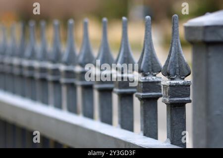 pali di recinzione in ferro battuto nero Foto Stock