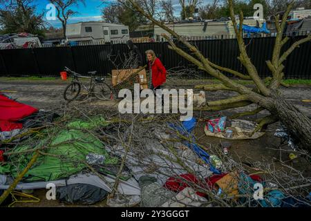 Sacramento, CA. 5 febbraio 2024. Ruby Stonebraker, 73 anni, e il suo cane Dammy rilevano il danno della sua tenda verde lunedì 5 febbraio 2024, che è crollata dopo che un albero le è caduto sopra durante le ultime notti di tempesta di vento e ha dovuto essere salvata dai residenti di Camp Resolution, un accampamento autonomo per senzatetto, lungo la pista ciclabile vicino Arden Way a Sacramento. Un albero è sceso così è entrata per proteggere dai venti da 70 km/h e mentre era seduta su una cassa di metallo con il suo cane su un guinzaglio un altro albero è sceso sopra di lei. Ha detto che il suo cane era spaventato a morte e non poteva muoversi. â Foto Stock