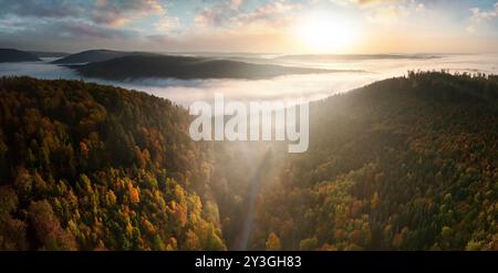 Paesaggio aereo con luci e cielo spettacolari, foreste autunnali colorate sulle colline e una strada che conduce verso il sole e nella nebbia illuminata dal sole Foto Stock