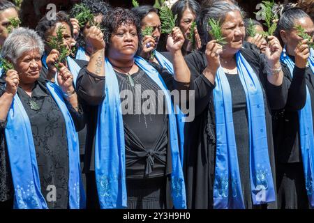 Le donne Maori cantano nei panni del Principe Carlo, Principe di Galles e Camilla, Duchessa di Cornovaglia ricevono un benvenuto cerimoniale "Powhiri" Maori all'arrivo a Turangawaewae Marae, Hamilton, nuova Zelanda, domenica 8 novembre, 2015. Foto Stock