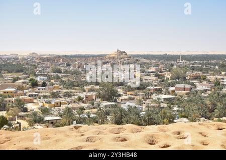 Vista della città egiziana di siwa con palme da dattero e un'ampia oasi dalla cima della montagna della morte Foto Stock