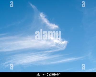 Chiazze di nuvole di Cirrus ad alta quota (code di Mare) contro il cielo azzurro Foto Stock