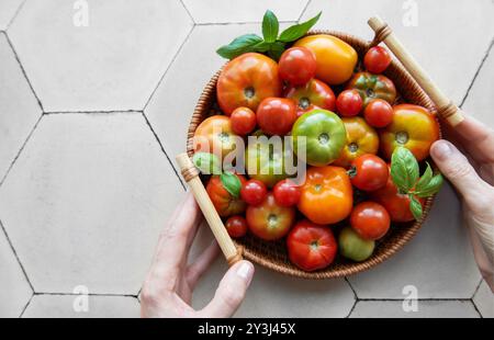 Una varietà di pomodori vivaci ed erbe fresche sono disposti in un cestello di vimini, appoggiato su una superficie esagonale ben illuminata Foto Stock