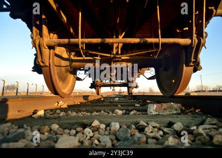 Sotto la vista della Freight car all'interno di Auschwitz II-Birkenau, vicino alla porta d'ingresso, utilizzata per trasportare deportati Foto Stock