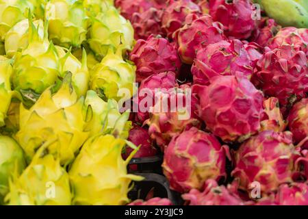 Una vivace mostra di frutti di drago in tonalità giallo e rosa, che mostrano le loro uniche texture spiky. I frutti sono disposti in modo ordinato, evidenziandone la loro Foto Stock