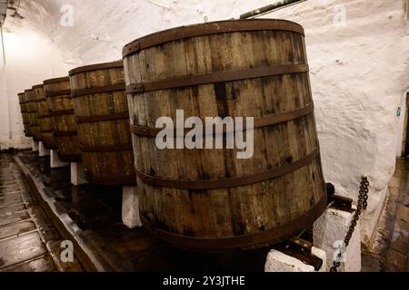 Plzen, Repubblica Ceca - 17 agosto 2024: Fermentazione a fondo aperto della birra in botti di legno antico nella cantina della Pilsner Urquell Plzensky Prazdroj Brew Foto Stock