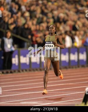 Mary Moraa del Kenya gareggia nella gara femminile di 800 m alle finali di atletica Memorial Van Damme Diamond League allo Stadio King Baudouin di Brussel Foto Stock