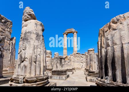 Le rovine del Tempio di Apollo a Didyma antica città greca. Didyma si trova nella moderna città di Didim nella provincia di Aydin, Turchia. Foto Stock