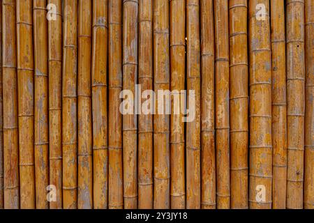 Struttura di una parete fatta di tronchi di bambù. Foto Stock