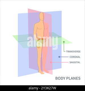 Scansione dei piani per il diagramma di posizione dell'orientamento del corpo Illustrazione Vettoriale