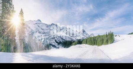 Panorama invernale panoramico con montagne innevate, foreste di abeti verdi e una strada attraverso uno spesso strato di neve, sotto il sole di dicembre, a Ehrwald Foto Stock