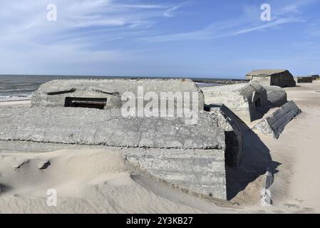 Bunker, Botonbunker del muro Atlantico in Danimarca, sulla spiaggia dello Jutland Foto Stock