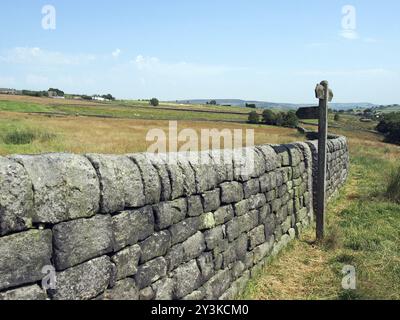 Un cartello su un sentiero in erba accanto a un lungo muro di pietra in un paesaggio di campi e fattorie nelle dales dello yorkshire vicino a blackshaw Head Foto Stock