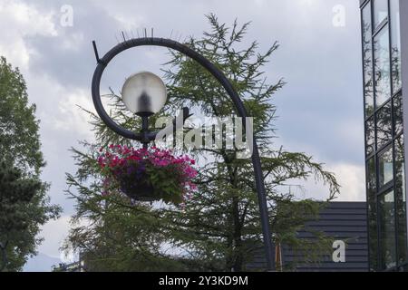 palo lampada in metallo con cesto di fiori e alberi nel parco Foto Stock