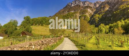 Paesaggio pittoresco nel villaggio di Quinten, Svizzera, con una strada rurale che attraversa i vigneti e conduce alle vette delle Alpi svizzere, Foto Stock