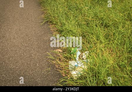 Mucchio di rifiuti lasciato sul lato della strada, in erba, che danneggia l'ambiente, quindi un'erba più gialla sotto la spazzatura Foto Stock