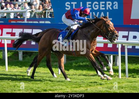 Doncaster Racecourse, sabato 14 settembre 2024. Jan Brueghel e il fantino Sean Levey vincono la 248a corsa del St Leger per l'allenatore Aidan o'Brien e i proprietari Westerberg, Mrs J Magnier, Michael Tabor e Derrick Smith. Crediti JTW equine Images / Alamy Live News. Foto Stock