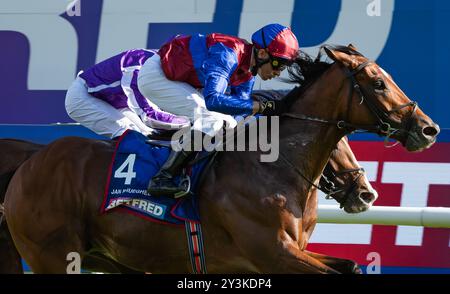 Doncaster Racecourse, sabato 14 settembre 2024. Jan Brueghel e il fantino Sean Levey vincono la 248a corsa del St Leger per l'allenatore Aidan o'Brien e i proprietari Westerberg, Mrs J Magnier, Michael Tabor e Derrick Smith. Crediti JTW equine Images / Alamy Live News. Foto Stock