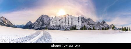 Panorama alpino con le Alpi austriache montagne, da Ehrwald comune, la spia verde di alberi di conifere e uno spesso strato di neve oltre il suo pascolo Foto Stock