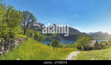 Splendido paesaggio estivo con vecchie case sulle rive del lago Walensee, le Alpi e i prati, in una giornata di sole, a Quarten, Svizzera, UE Foto Stock