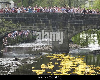 Hebden bridge, West yorkshire, inghilterra, 22 aprile 2019: Persone e volontari che assistono alla corsa annuale delle anatre del lunedì di pasqua a hebden Bridge Foto Stock