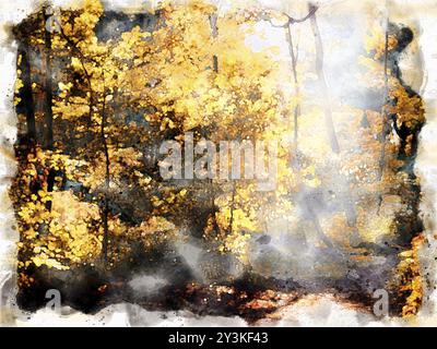 Pittura ad acquerello del sole mattutino che splende attraverso una radura nella foresta autunnale con luce solare che splende su luminosi alberi di bosco autunnali con foglie cadute Foto Stock