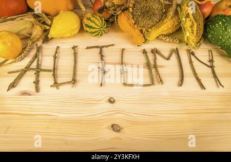 La parola autunno è stata scritta da ramoscelli su fondo di legno, con i risultati della raccolta come zucche, mais, grano e girasole Foto Stock