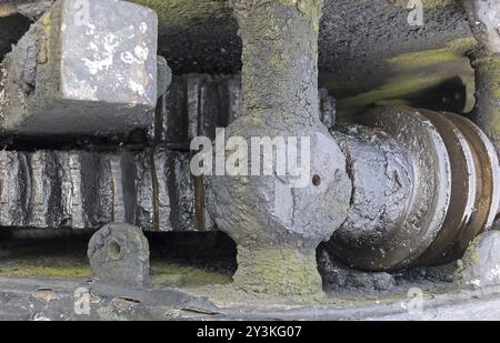 Un primo piano di antichi macchinari grassi con ingranaggi sporchi e muschio verde che cresce sul metallo Foto Stock