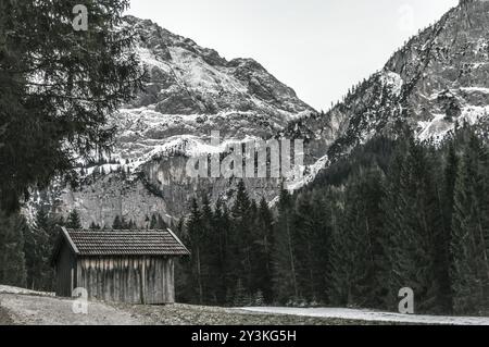 Weathered granaio in legno in un paesaggio invernale con la neve sulle alpi austriache e il sempreverde pineta Foto Stock