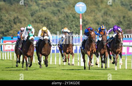 Doncaster Racecourse, sabato 14 settembre 2024. Jan Brueghel e il fantino Sean Levey vincono la 248a corsa del St Leger per l'allenatore Aidan o'Brien e i proprietari Westerberg, Mrs J Magnier, Michael Tabor e Derrick Smith. Crediti JTW equine Images / Alamy Live News. Foto Stock