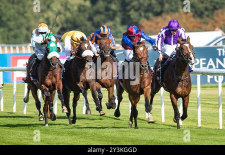 Doncaster Racecourse, sabato 14 settembre 2024. Jan Brueghel e il fantino Sean Levey vincono la 248a corsa del St Leger per l'allenatore Aidan o'Brien e i proprietari Westerberg, Mrs J Magnier, Michael Tabor e Derrick Smith. Crediti JTW equine Images / Alamy Live News. Foto Stock