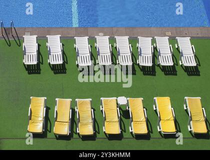 Vista aerea delle sdraio su uno sfondo verde accanto ad una piscina blu con luce solare e ombra per vacanze Foto Stock