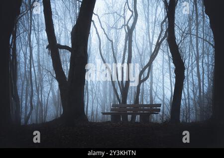 Paesaggio in caduta fredda con panchina di legno in una foresta, con sagome di alberi senza foglie e fitta nebbia. Foresta nebbiosa infestata dai fantasmi. Foresta scura con nebbia Foto Stock