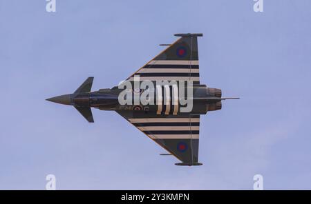 Duxford, Cambridgeshire, Regno Unito. 14 settembre 2024. Un Eurofighter Typhoon FGR.4 della RAF pilotato dal tenente di volo David "Turbo" Turnbull del 29 Squadron con base a RAF Coningsby nel Lincolnshire mette in mostra un'incredibile esibizione al Battle of Britain Air Show dell'IWM Duxford. Lo schema di verniciatura dei caccia diurni degli aerei dell'era 1944 ricorda un Hawker Typhoon del 257 Squadron. Questo aereo è affettuosamente conosciuto come 'Moggy'. Crediti: Stuart Robertson/Alamy Live News. Foto Stock