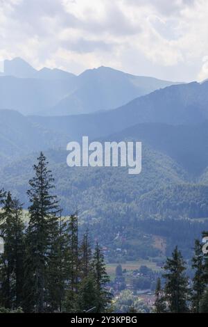 paesaggio con foreste coltivate in montagna su uno sfondo di nuvole Foto Stock